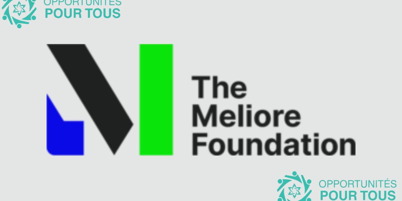 Offre d’emploi : Directeur(trice) Exécutif(ve) de Flamma – Fondation Meliore