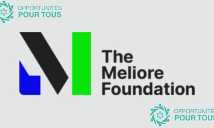 Offre d’emploi : Directeur(trice) Exécutif(ve) de Flamma – Fondation Meliore