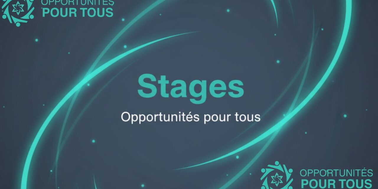 Stage en communication éditoriale et numérique – IFEF (Institut de la Francophonie pour l&rsquo;Éducation et la Formation)