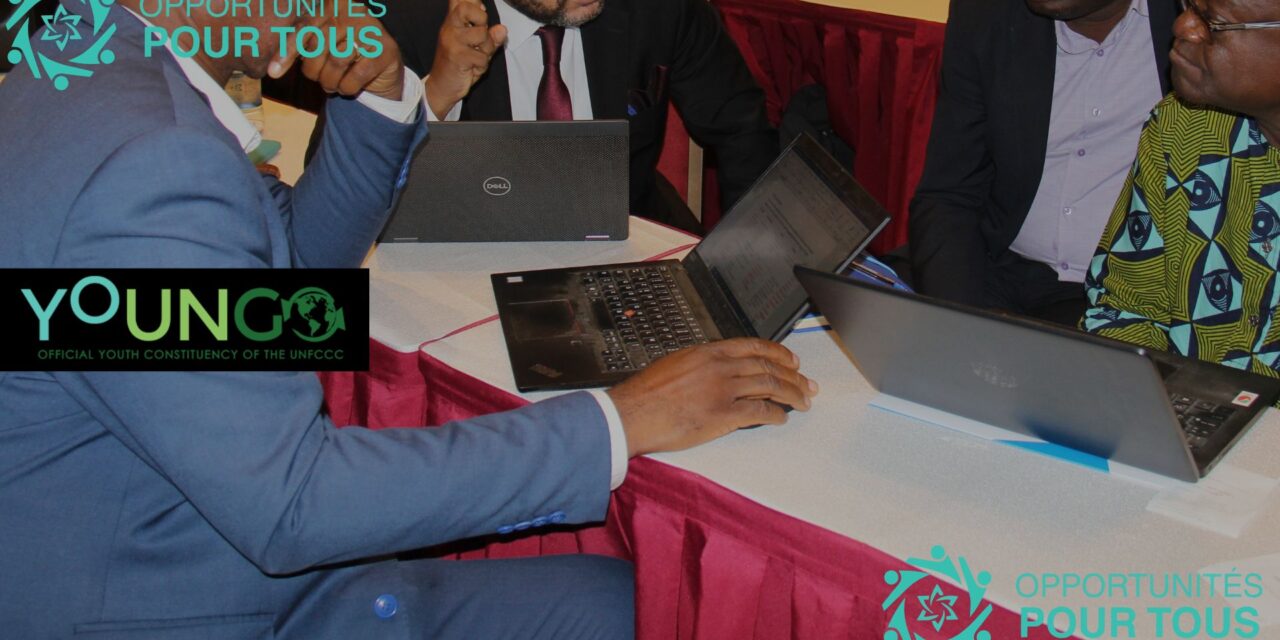 Rejoignez le groupe de travail YOUNGO sur les pertes et dommages en tant que Point de Contact – Mandat 2026