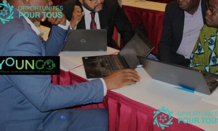 Rejoignez le groupe de travail YOUNGO sur les pertes et dommages en tant que Point de Contact – Mandat 2026