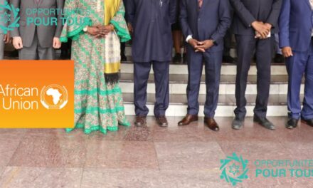 Fellowship en Innovation Numérique pour l&rsquo;Union Africaine 2026/2027