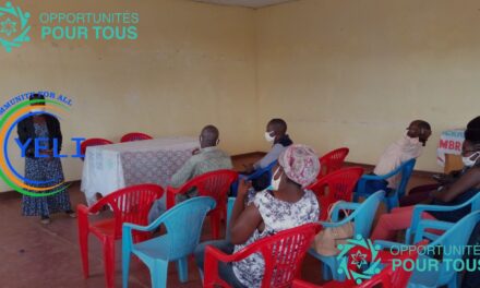 Appel à candidatures : Programme de Jeunes Chercheur.e.s 2026 – YELI