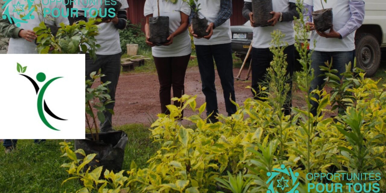 Formation en Intelligence des Données Climat et Carbone – Sessions Virtuelles