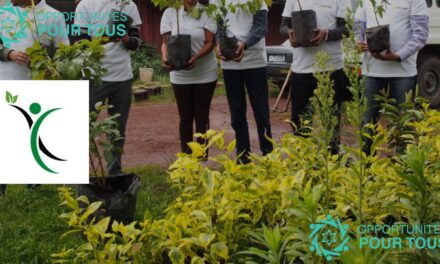 Formation en Intelligence des Données Climat et Carbone – Sessions Virtuelles