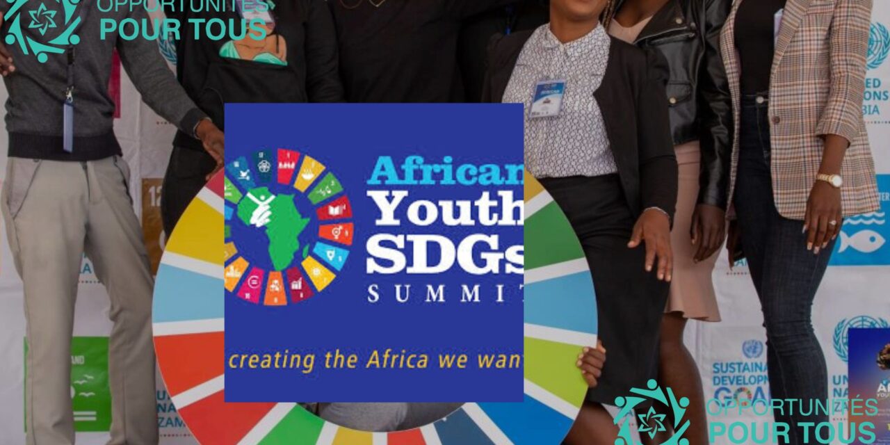 Participation à la 6ème Sommet Africain des Jeunes sur les Objectifs de Développement Durable (ODD)