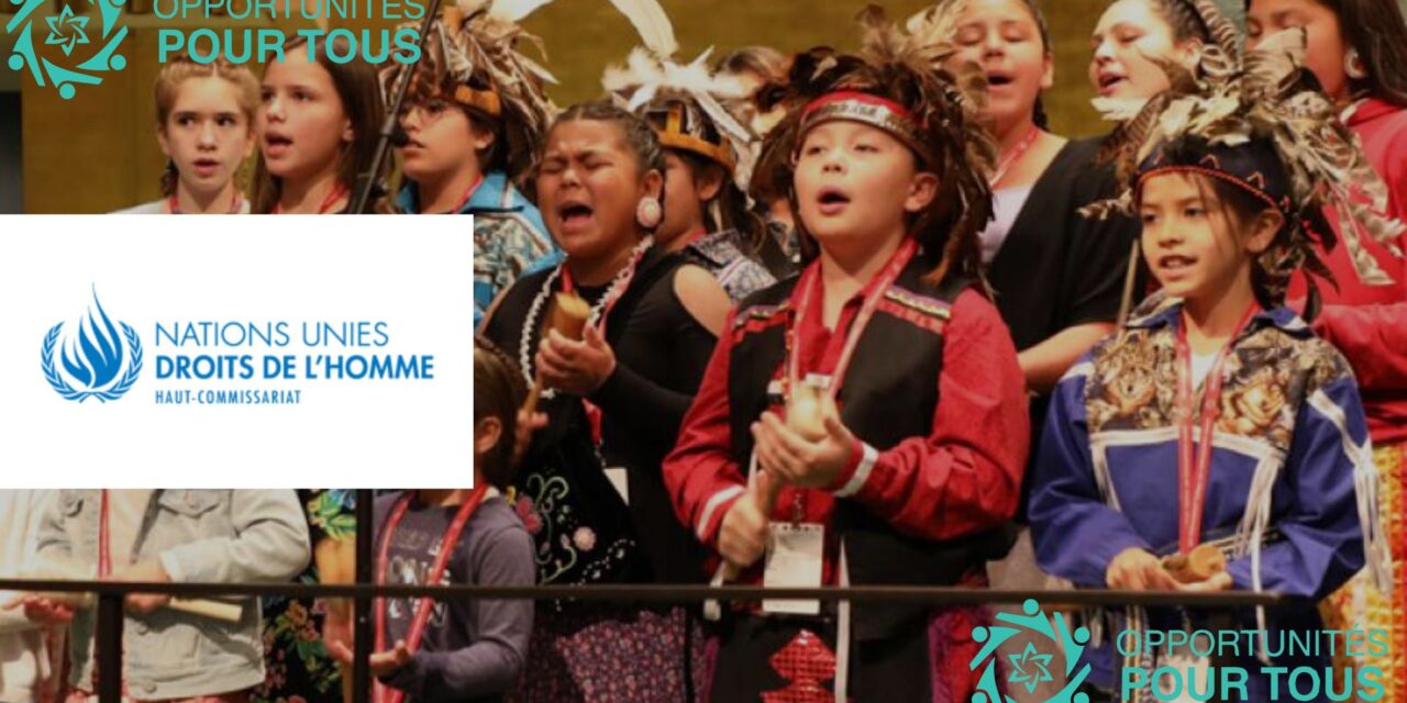Appel à candidatures : Bourses pour la 19ème Session de la COSP19 pour des Représentant.e.s Autochtones – Haut-Commissariat des Nations Unies aux Droits de l’Homme