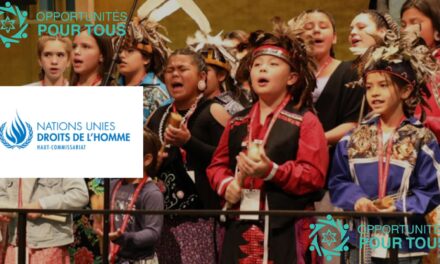 Appel à candidatures : Bourses pour la 19ème Session de la COSP19 pour des Représentant.e.s Autochtones – Haut-Commissariat des Nations Unies aux Droits de l’Homme