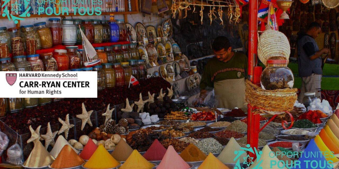 Fellowship du Carr-Ryan Center 2026–2027 – Recherche et Droits de l&rsquo;Homme