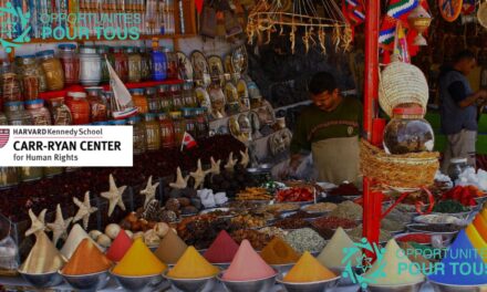 Fellowship du Carr-Ryan Center 2026–2027 – Recherche et Droits de l&rsquo;Homme