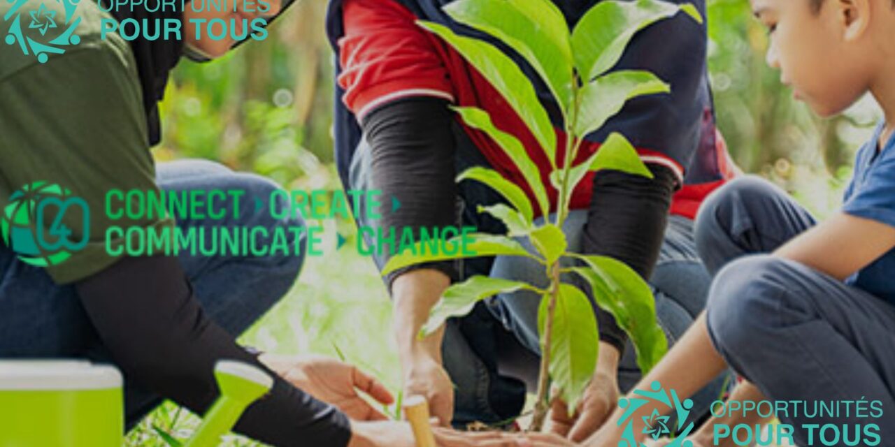 Programme de Jeunes Ambassadeurs Max Thabiso Edkins 2026 – Opportunité Internationale dans le Cadre du Développement Durable