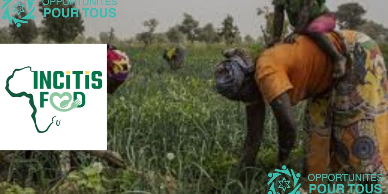 Appel à Projet : Financement pour soutenir des solutions innovantes dans les systèmes alimentaires urbains et péri-urbains durables en Afrique