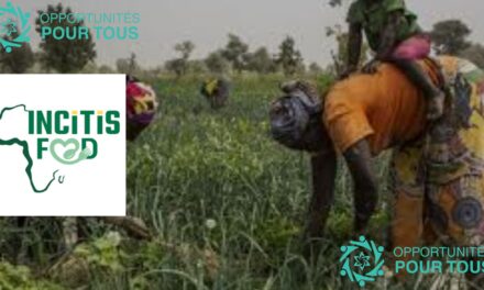 Appel à Projet : Financement pour soutenir des solutions innovantes dans les systèmes alimentaires urbains et péri-urbains durables en Afrique