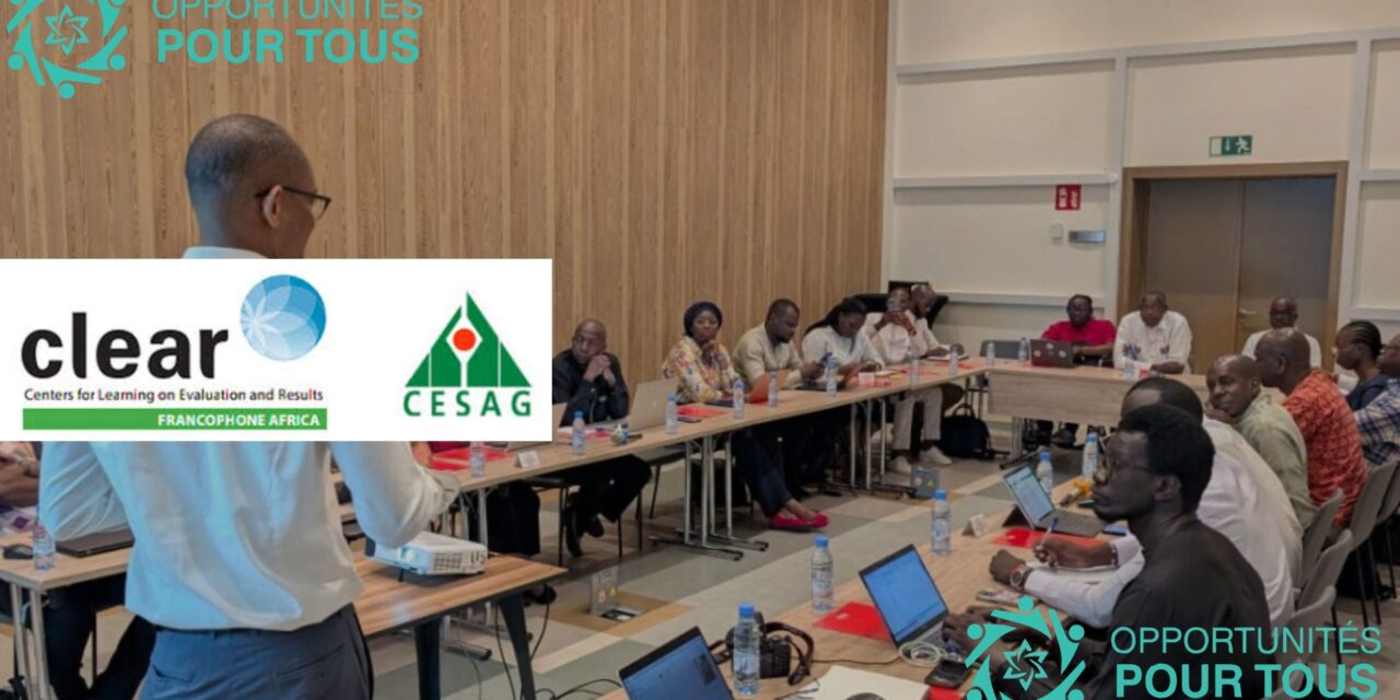 Formation en Intelligence Artificielle appliquée au Suivi-Évaluation et aux Politiques Publiques – Dakar / gratuite