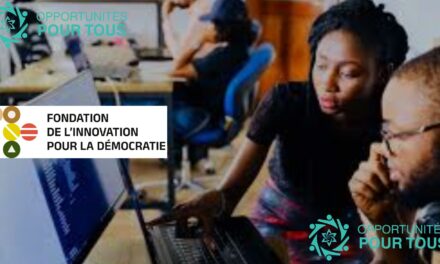 Appel à candidatures : Subventions pour projets de plaidoyer en démocratie numérique