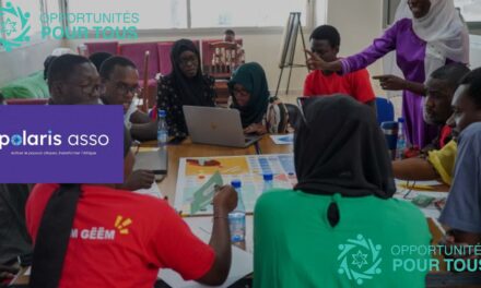 Appel à candidatures pour jeunes entrepreneurs en Afrique de l&rsquo;Ouest – Formation en ligne, financement et mentorat