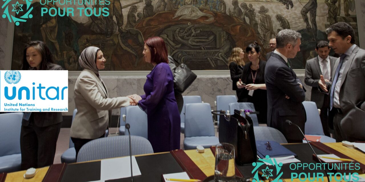 Master en Relations Internationales et Diplomatie – Collaboration avec Schiller International University