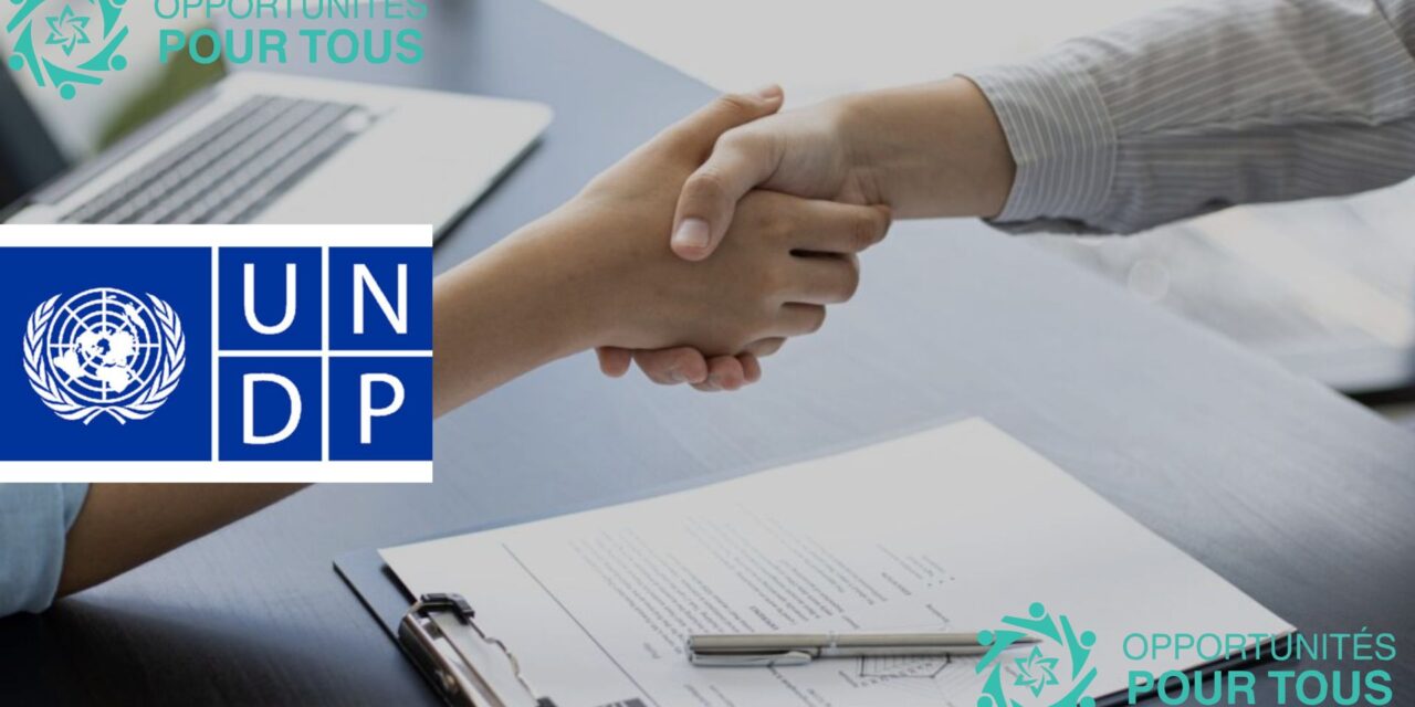 Offre d’emploi : Conseiller Spécial UE chez UNDP à Bruxelles