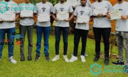 Appel à Candidatures : Bourses de l&rsquo;Académie Africaine pour l&rsquo;Investigation Open Source (AAOSI) — Afrique Australe