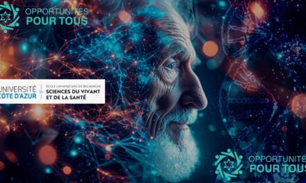 Opportunité de bourse ImAGEin en Santé, Biologie du Vieillissement et Bio-informatique – Candidatures ouvertes jusqu&rsquo;au 6 mars 2026