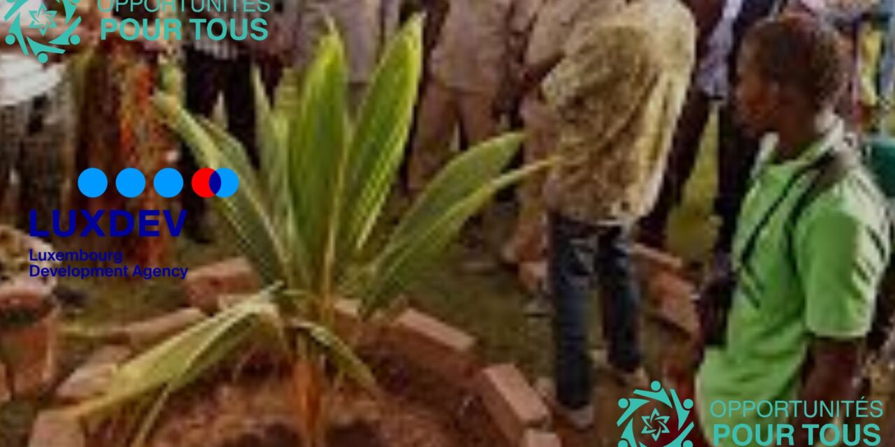 Appel à projets pour formation et insertion professionnelle des jeunes au Burkina Faso