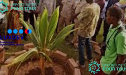 Appel à projets pour formation et insertion professionnelle des jeunes au Burkina Faso