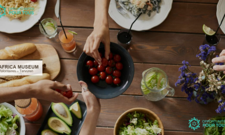 Africa Museum Tervuren recrute 10 volontaires pour la gestion des collections