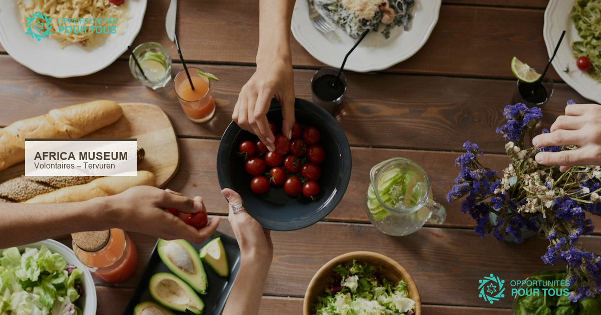 Africa Museum Tervuren recrute 10 volontaires pour la gestion des collections