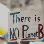 Programme Ambassadeurs Le Petit Prince : 10 créateurs de contenu recherchés en France