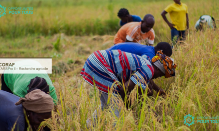 Le CORAF lance un appel à sous-projets thématiques dans le cadre de TARSPro II