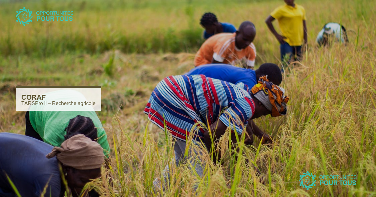 Le CORAF lance un appel à sous-projets thématiques dans le cadre de TARSPro II