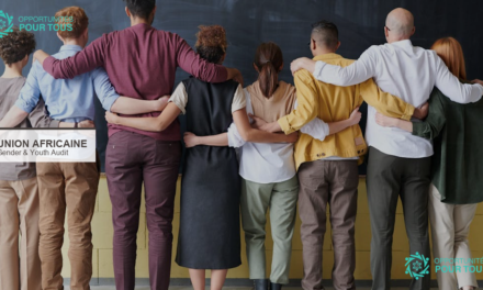 L&rsquo;Union Africaine recrute un consultant pour un audit genre et jeunesse