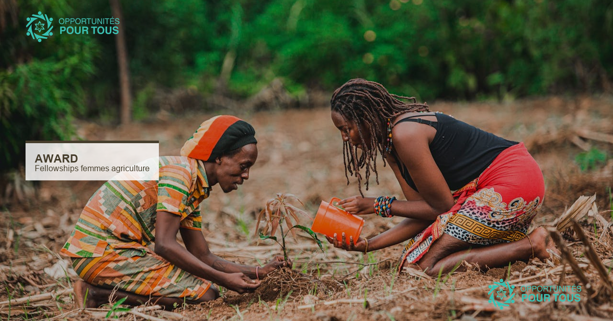 AWARD Fellowships : formation leadership femmes en agriculture africaine