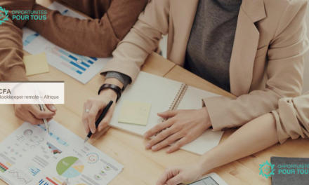 Bookkeeper à distance recherché(e) pour toute l&rsquo;Afrique (Xero/ApprovalMax)
