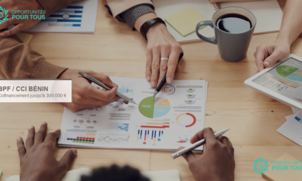 Business Partnership Facility (BPF) Bénin : cofinancement jusqu&rsquo;à 300 000 € pour projets innovants