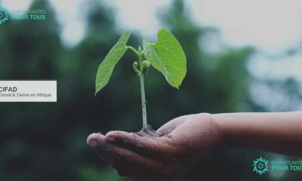 Certificat professionnel en adaptation climatique sensible au genre avec le CIFAD