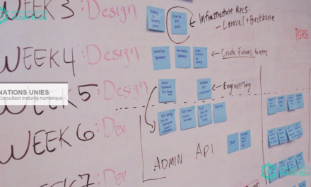 Consultant international évaluation maturité numérique ONU