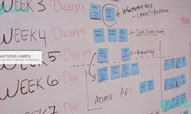 Consultant international évaluation maturité numérique ONU