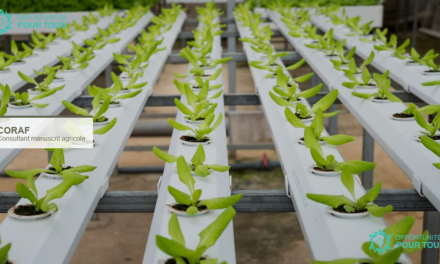 CORAF recrute un consultant pour un manuscrit scientifique sur les parcs technologiques agricoles