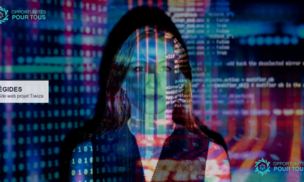 Égides recrute un développeur web pour le projet Tiwiza (LGBTIQ+ Afrique du Nord)