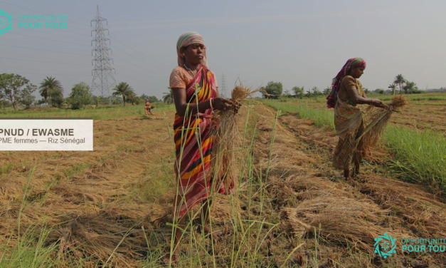 Projet EWASME 2e cohorte : appui aux PME de femmes dans le riz au Sénégal