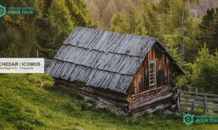 Symposium Digital Ecosystems for Heritage 4.0 à Florence : patrimoine culturel et technologies