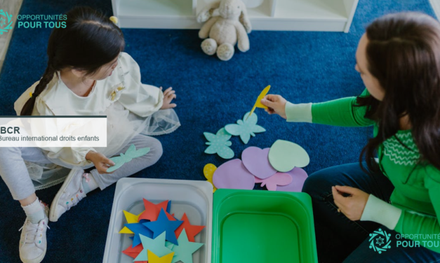 IBCR recrute un préposé à l&rsquo;entretien ménager à Montréal