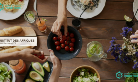 L&rsquo;Institut des Afriques (IdAf) recrute un directeur ou une directrice en CDI