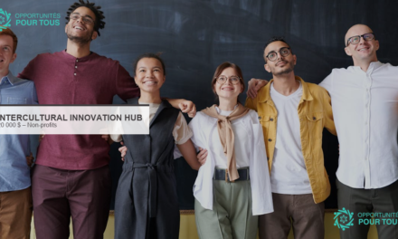 Intercultural Innovation Hub 2026 : jusqu&rsquo;à 20 000 $ pour ONG promouvant l&rsquo;inclusion