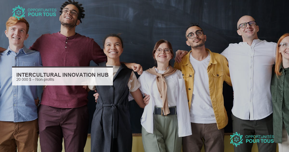 Intercultural Innovation Hub 2026 : jusqu&rsquo;à 20 000 $ pour ONG promouvant l&rsquo;inclusion