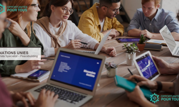 Nations Unies : Data Specialist pour le Peacebuilding Impact Hub (télétravail, 6 mois)