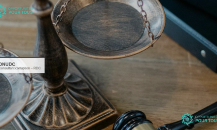 ONUDC recrute un consultant national en gestion des risques de corruption en RDC (minerais critiques)