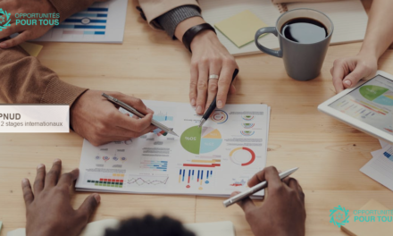 PNUD : 12 offres de stages internationaux disponibles