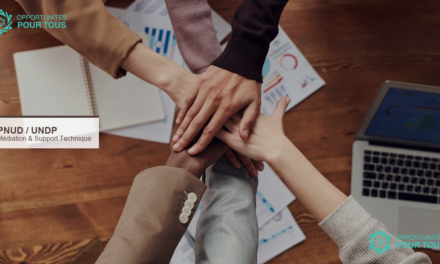 PNUD recrute un Spécialiste en Médiation et Support Technique (Télétravail/New York)